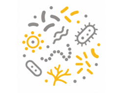 Helixio's icon for Microbiome analysis
